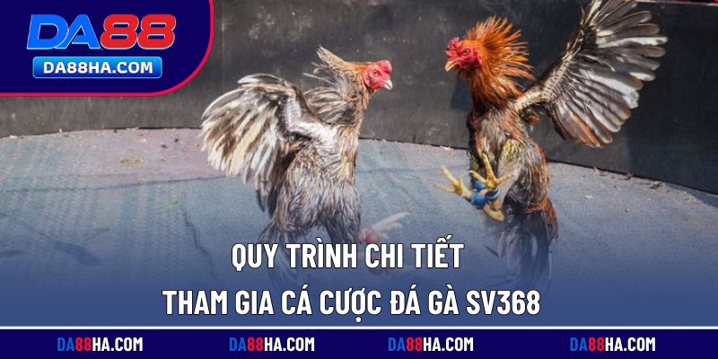 Các bước cơ bản để tham gia cá cược đá gà SV368