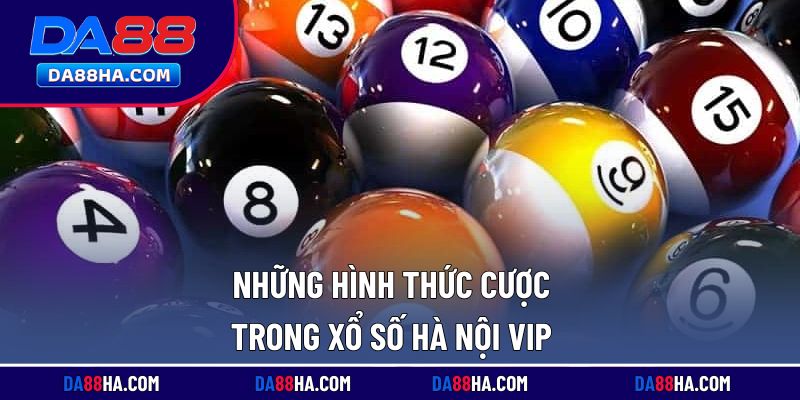 Các kiểu cược thú vị có trong xổ số Hà Nội Vip