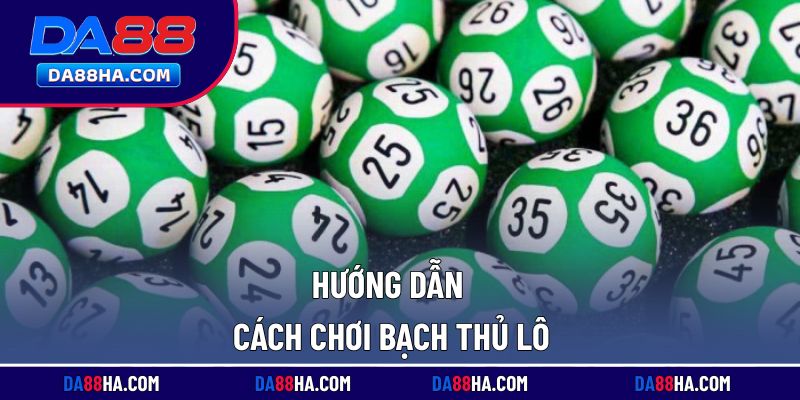 Cách chơi lô bạch thủ chi tiết dành cho người mới bắt đầu