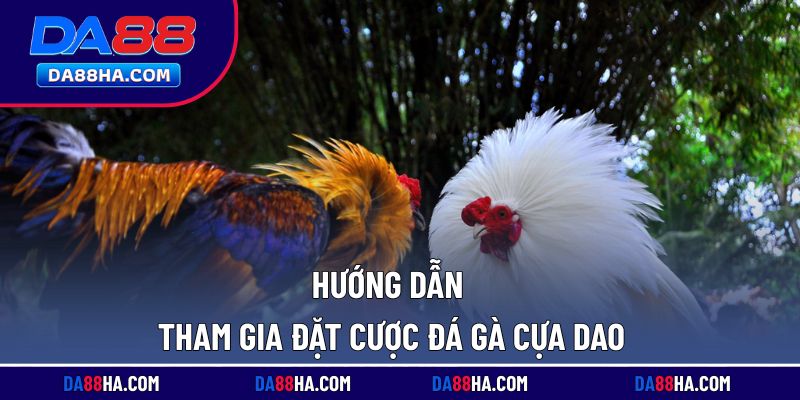 Cách tham gia đặt cược đá gà dễ dàng tại nhà cái