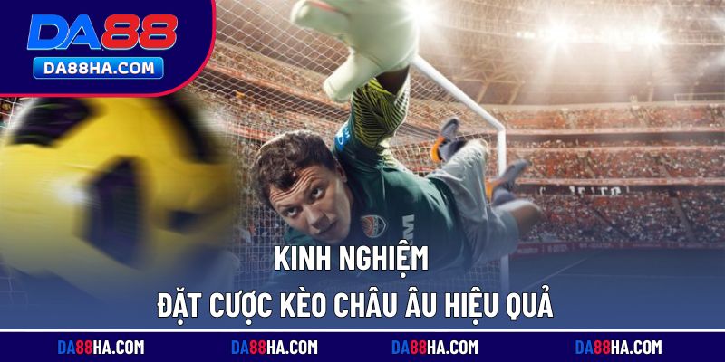 Chia sẻ bí quyết đặt cược chuẩn xác từ cao thủ hàng đầu