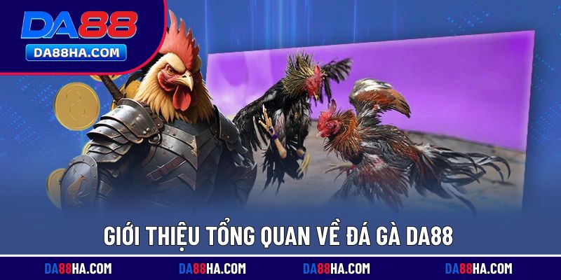 Khái quát chung về đá gà DA88