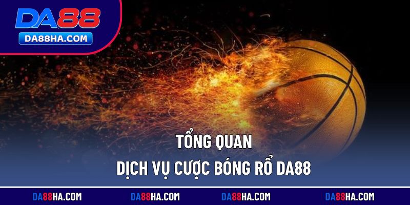Giới thiệu tổng quan về dịch vụ cá cược bóng rổ tại nhà cái