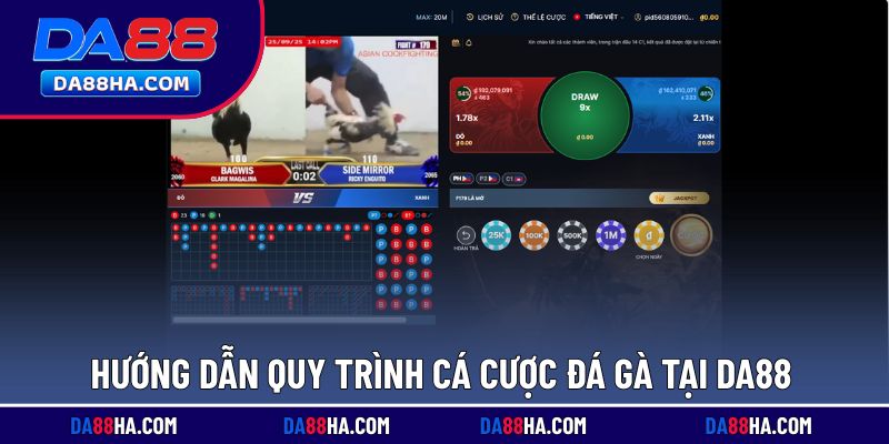 Chia sẻ 4 bước cược đá gà tại nhà cái