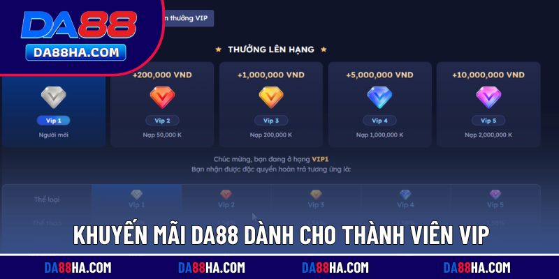 Khuyến mãi thú vị, giá trị cho VIP