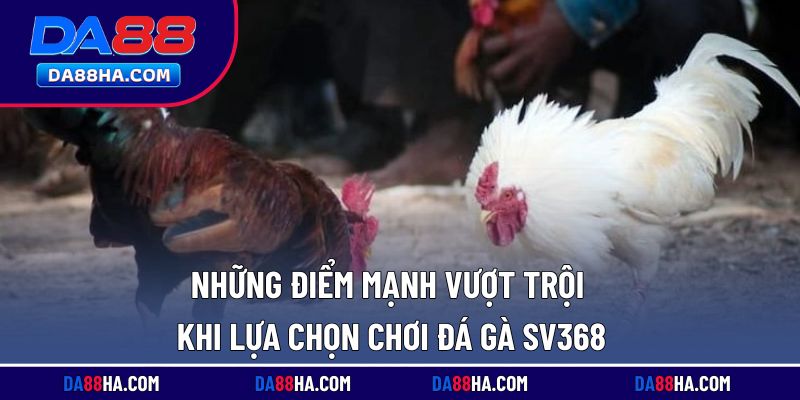 Lợi ích nổi bật khi tham gia đặt cược đá gà tại nhà cái