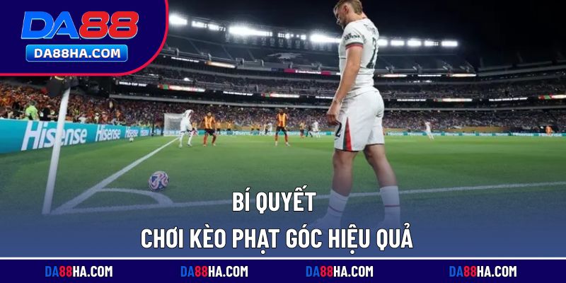 Mẹo cá cược hiệu quả được chia sẻ từ cao thủ
