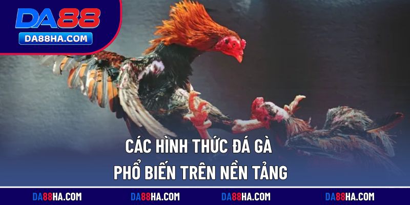 Những loại hình cá cược hấp dẫn được cung cấp tại nhà cái