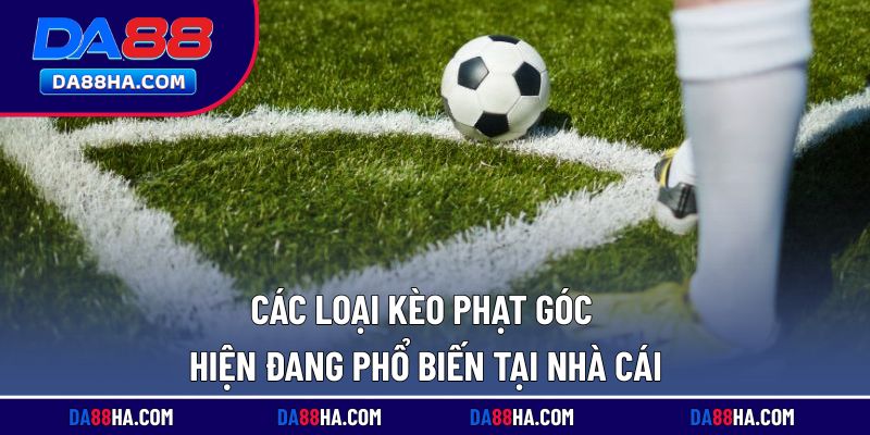 Những loại hình kèo cược phạt góc được ưa chuộng tại nhà cái