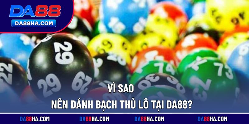 Những lý do nên chọn nhà cái để chơi lô bạch thủ mỗi ngày