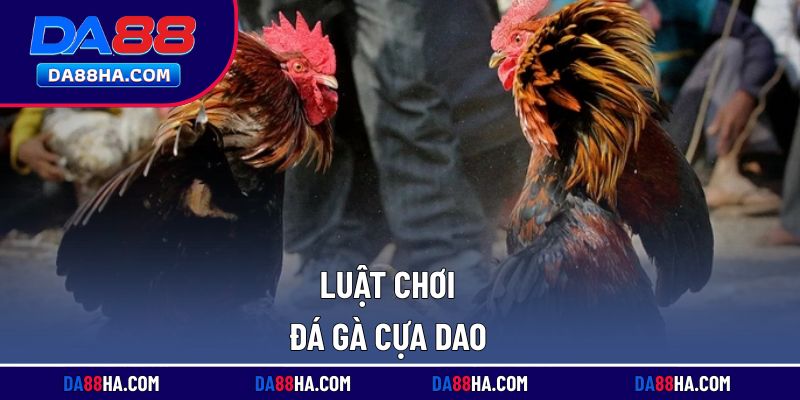 Những điểm mạnh khiến đá gà tại nhà cái được ưa chuộng