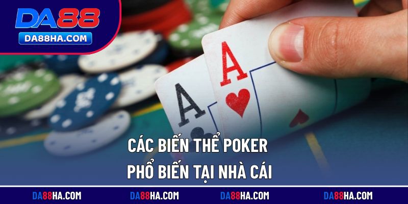 Những thể loại poker trực tuyến thịnh hành tại nhà cái