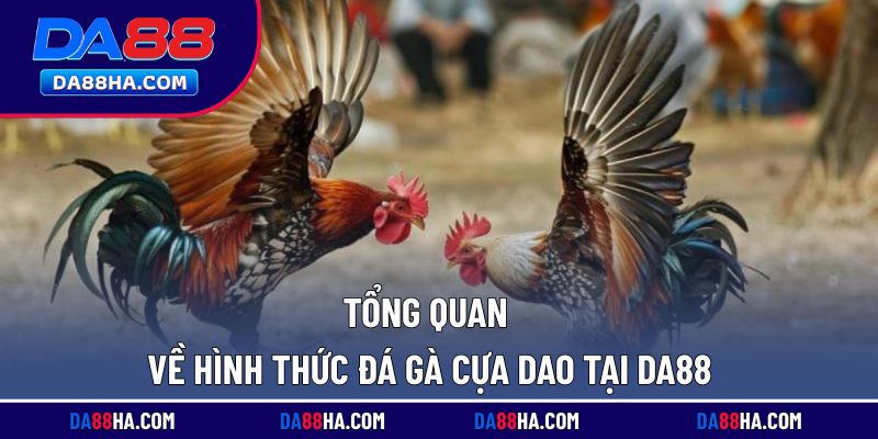 Tìm hiểu chi tiết về mô hình đá gà cựa dao tại nhà cái