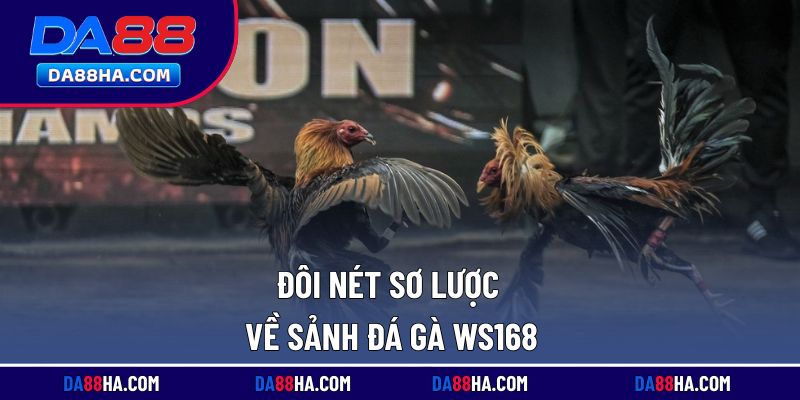 Tìm hiểu về chuyên mục đá gà WS168