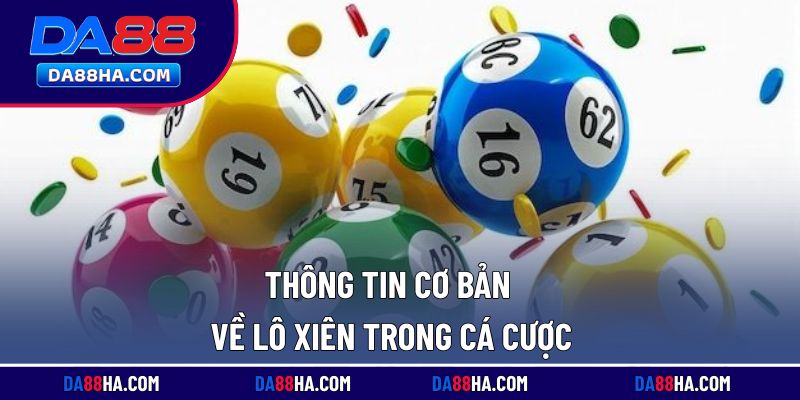 Vài nét sơ lược về lô xiên trong cá cược